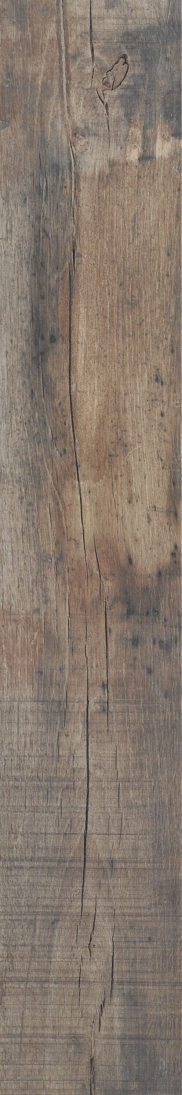 Margres Jungle sivá obkladová a podlahová doska 20x120 cm