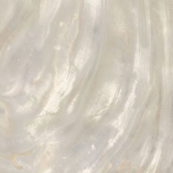 Roberto Cavalli Bright Pearl Slonovinová dlažba 80x80 cm
