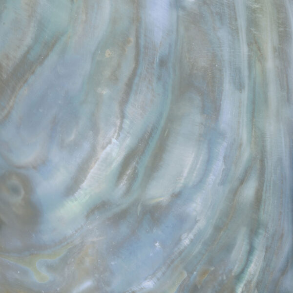 Roberto Cavalli Bright Pearl dúhová dúhová dlažba 80x80 cm