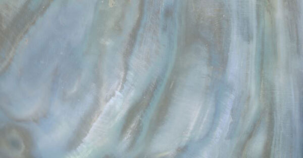 Roberto Cavalli Bright Pearl Rainbow dúhová dlažba 80x180 cm